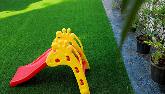 Playing Area